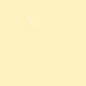 Meet your Posher, Kaylin